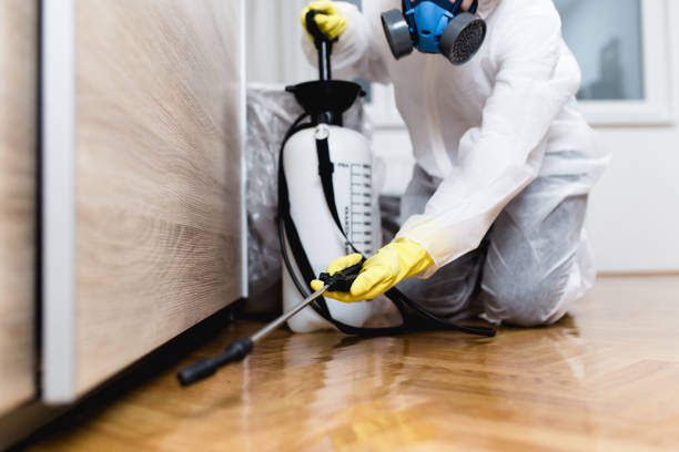 Best Best Pest Control Companies  in Ellerslie, GA