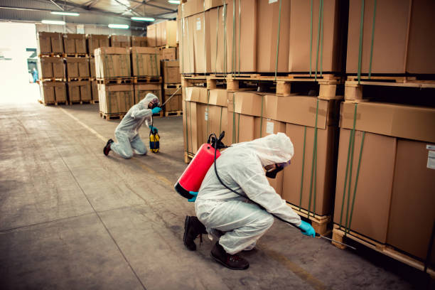Best Local Pest Control Services  in Ellerslie, GA