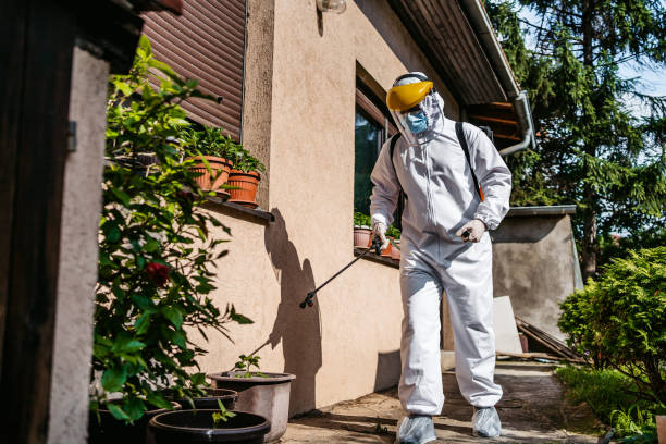 Best Pest Prevention Services  in Ellerslie, GA