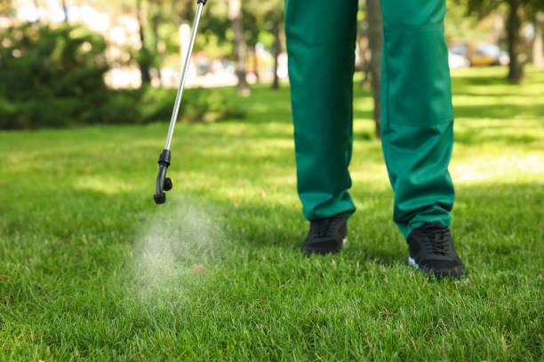 Best Mosquito Control Services  in Ellerslie, GA