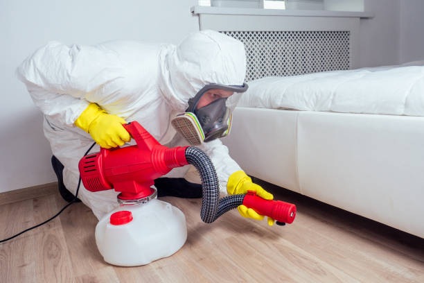 Best Termite Control Services  in Ellerslie, GA