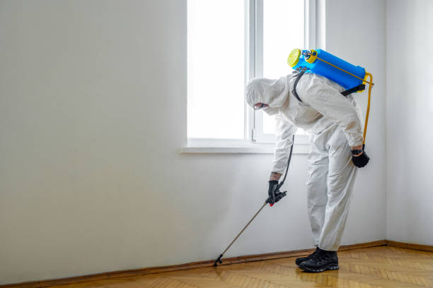 Best Emergency Pest Control  in Ellerslie, GA