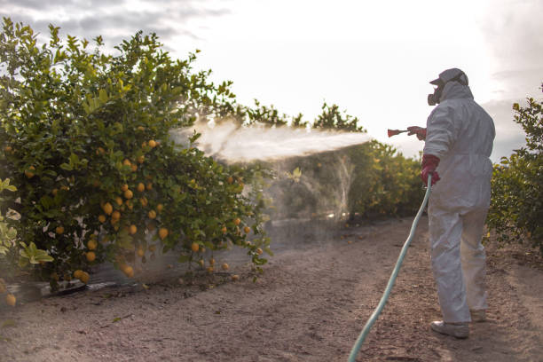Pest Control Cost in Ellerslie, GA