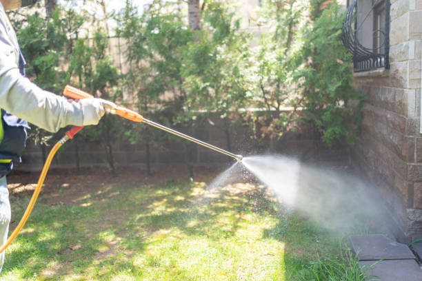 Best Local Pest Control Services  in Ellerslie, GA