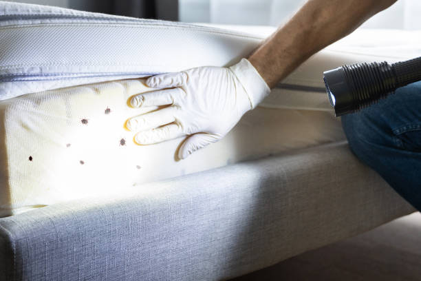 Best Pest Control for Homes  in Ellerslie, GA