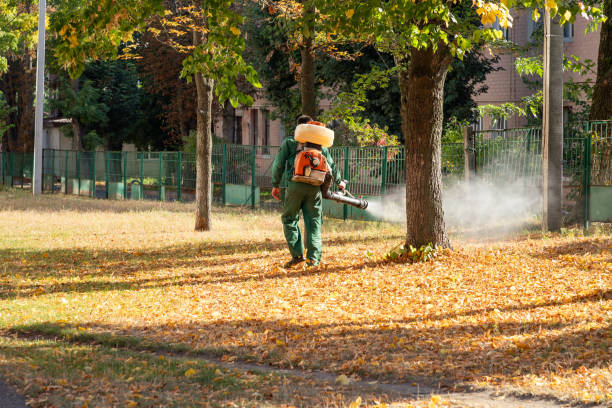 Professional Pest Control in Ellerslie, GA