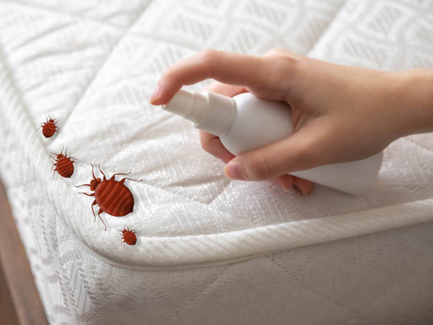 Best Affordable Pest Control Services  in Ellerslie, GA