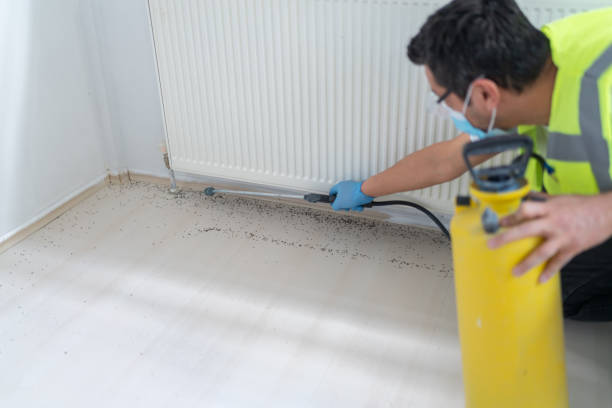 Best Best Pest Control Companies  in Ellerslie, GA